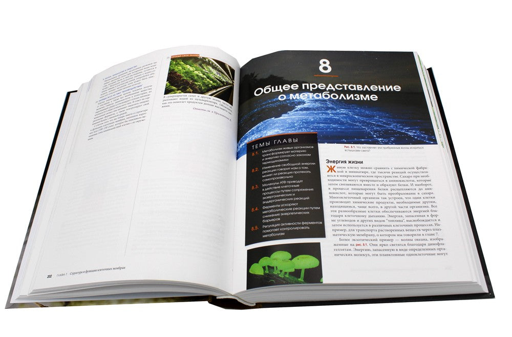 Биология Campbell. В 3 т. Т. 1. Химия жизни. Клетка. Генетика