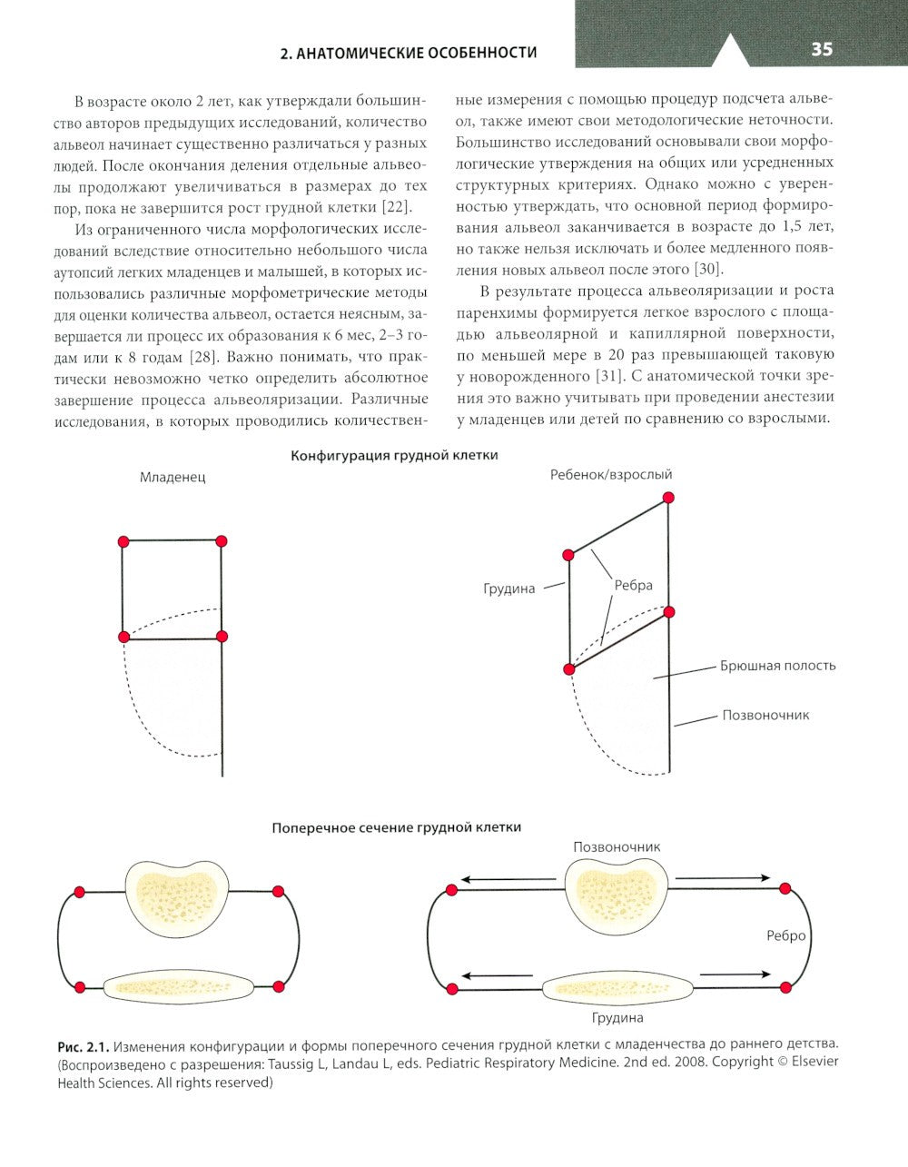 Клиническая анестезиология в педиатрической практике: Руководство для врачей