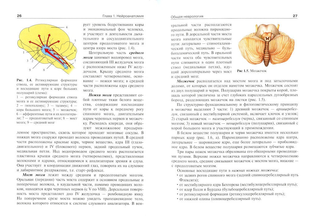 Детская неврология и нейрохирургия: Учебник. В 2 т. Т. 1