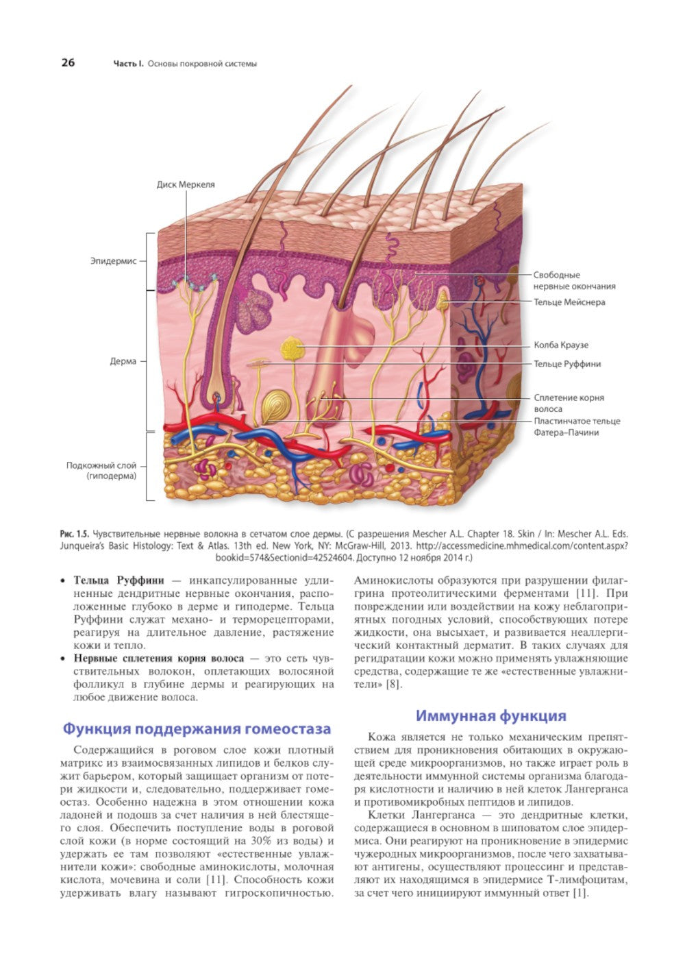 Раны. Диагностика и лечение. Атлас-справочник