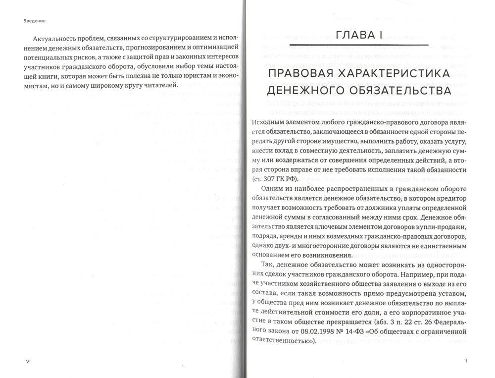 Правовая конструкция денежного обязательства