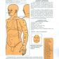 Атлас акупунктурных точек и меридианов. Вып. 8. 2-е изд