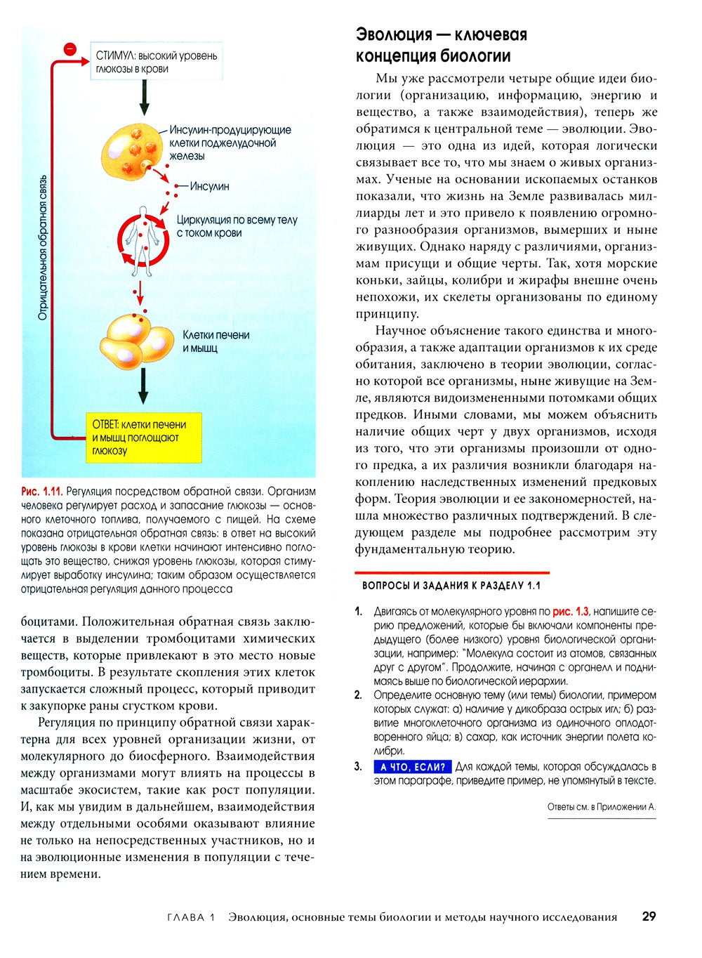 Биология Campbell. В 3 т. Т. 1. Химия жизни. Клетка. Генетика