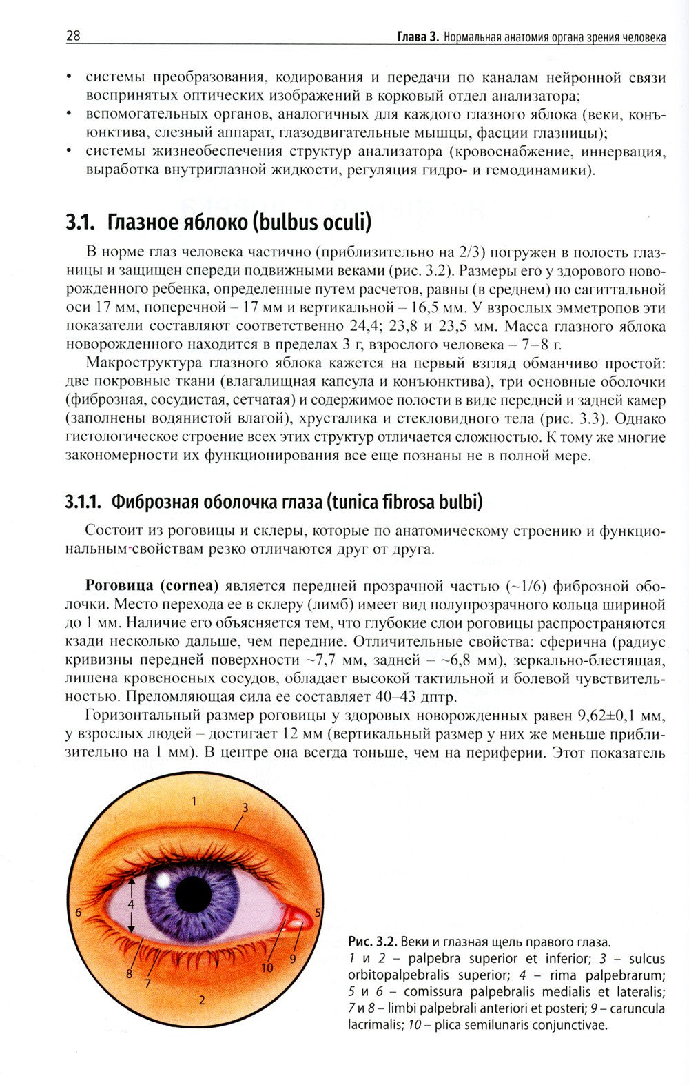 Клиническая офтальмология. 5-е изд., перераб. и доп. (пер.)