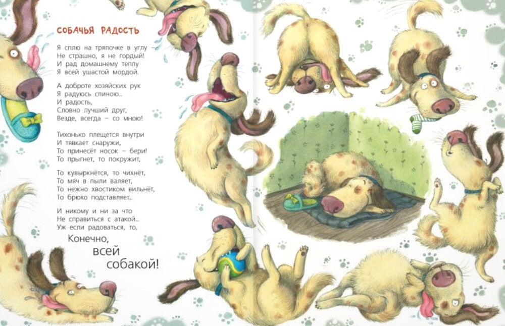 Жизнь собачья: стихи