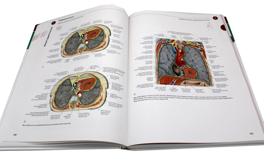 Sobotta. Атлас анатомии человека. В 3 т. Т. 2: Внутренние органы. 2-е изд