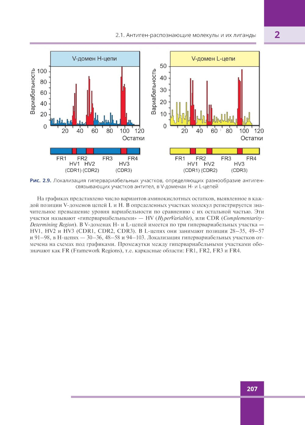 Иммунология. Атлас. 3-е изд., обновл