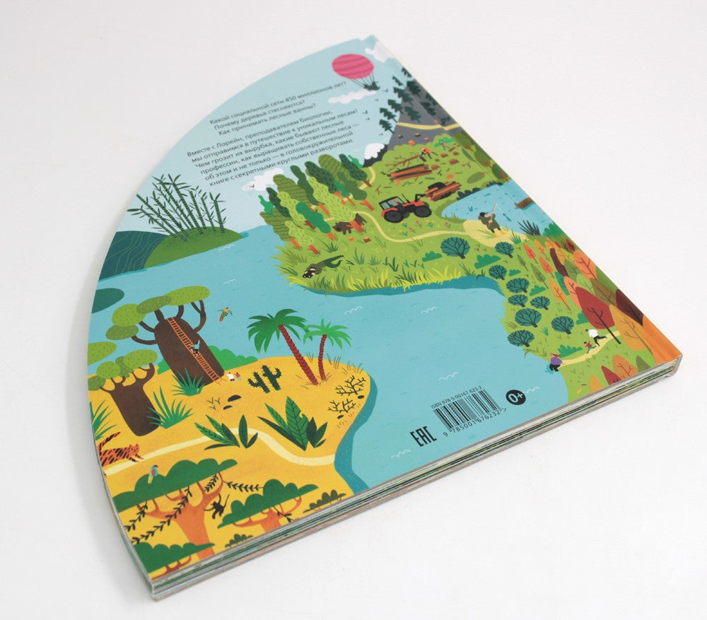 Вокруг лесов: исследуем уникальные уголки планеты