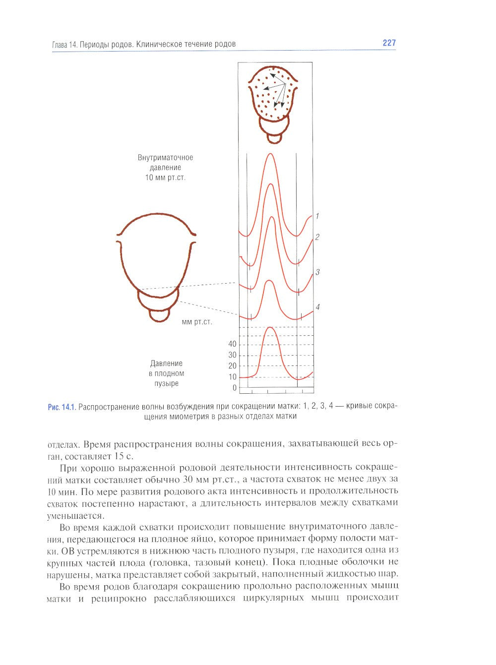 Акушерство: учебник. 10-е изд., перераб.и доп
