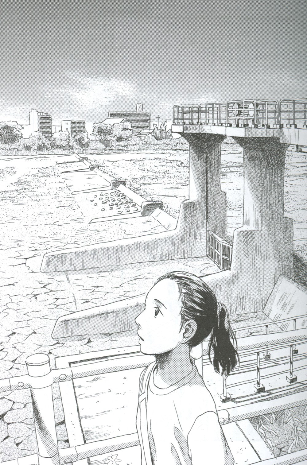 Суйики: территория воды. Т. 2: манга