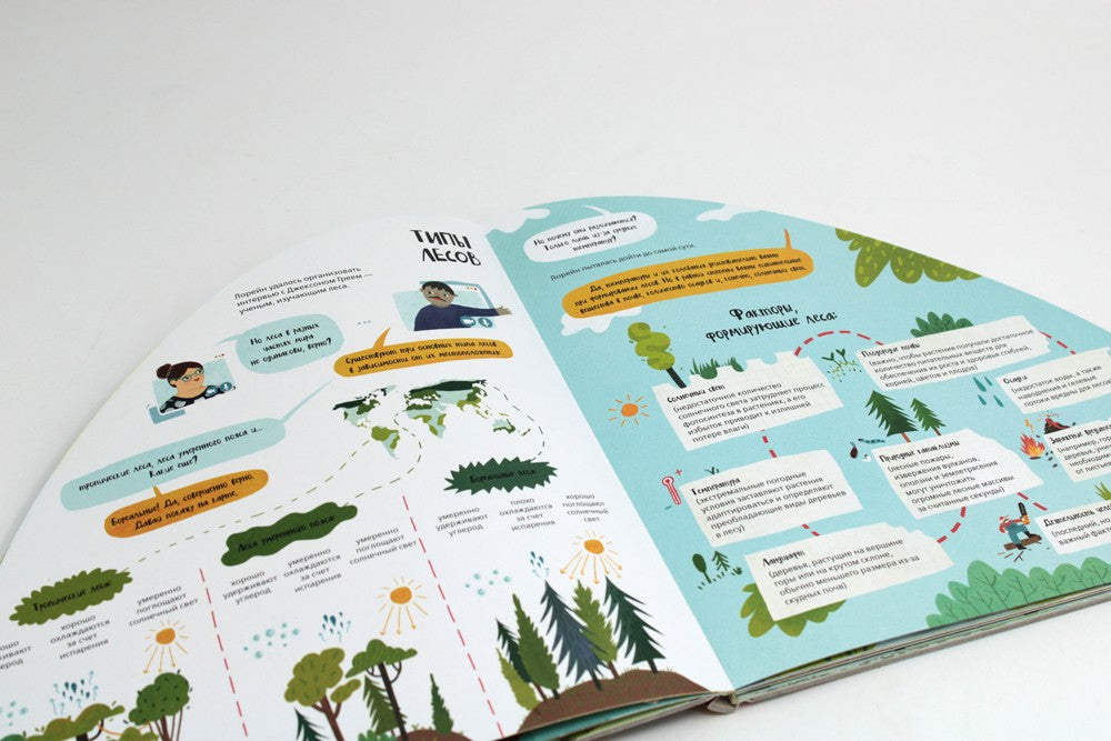 Вокруг лесов: исследуем уникальные уголки планеты