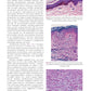 Клиническая дерматология. Иллюстрированное руководство для врачей. 2-е изд., ...