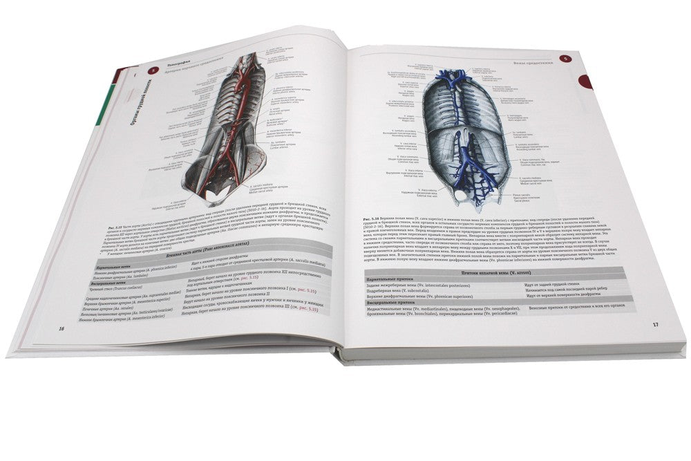 Sobotta. Атлас анатомии человека. В 3 т. Т. 2: Внутренние органы. 2-е изд
