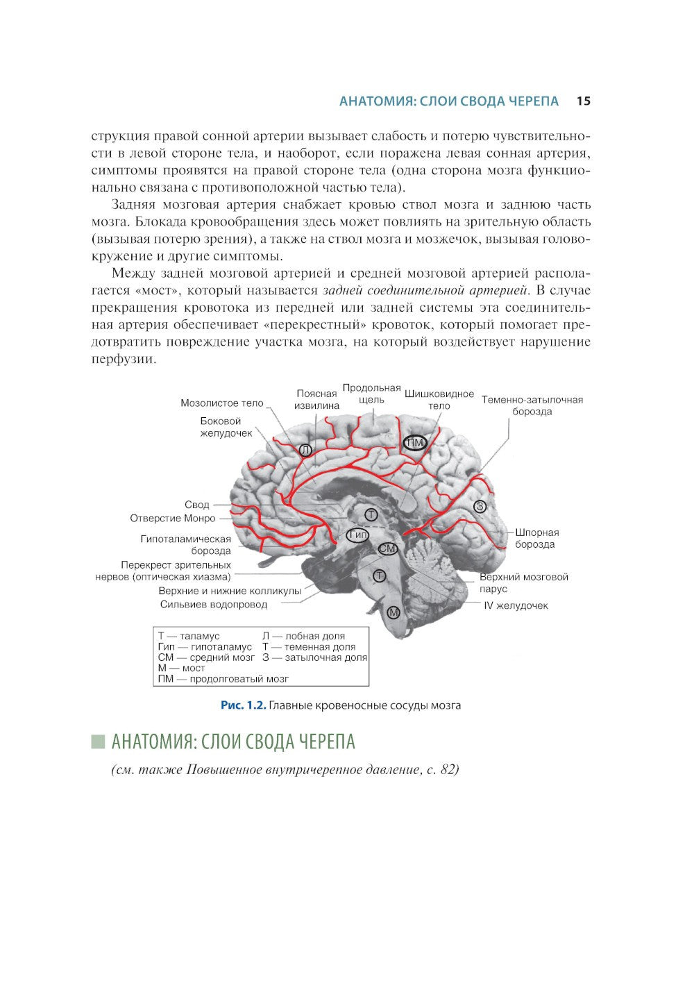 Краткий справочник по интенсивной терапии