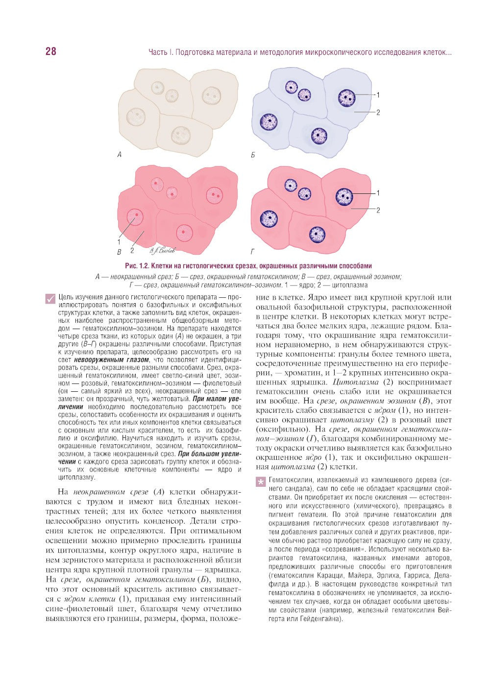 Гистология, цитология и эмбриология. Руководство к практическим занятиям. Атл...