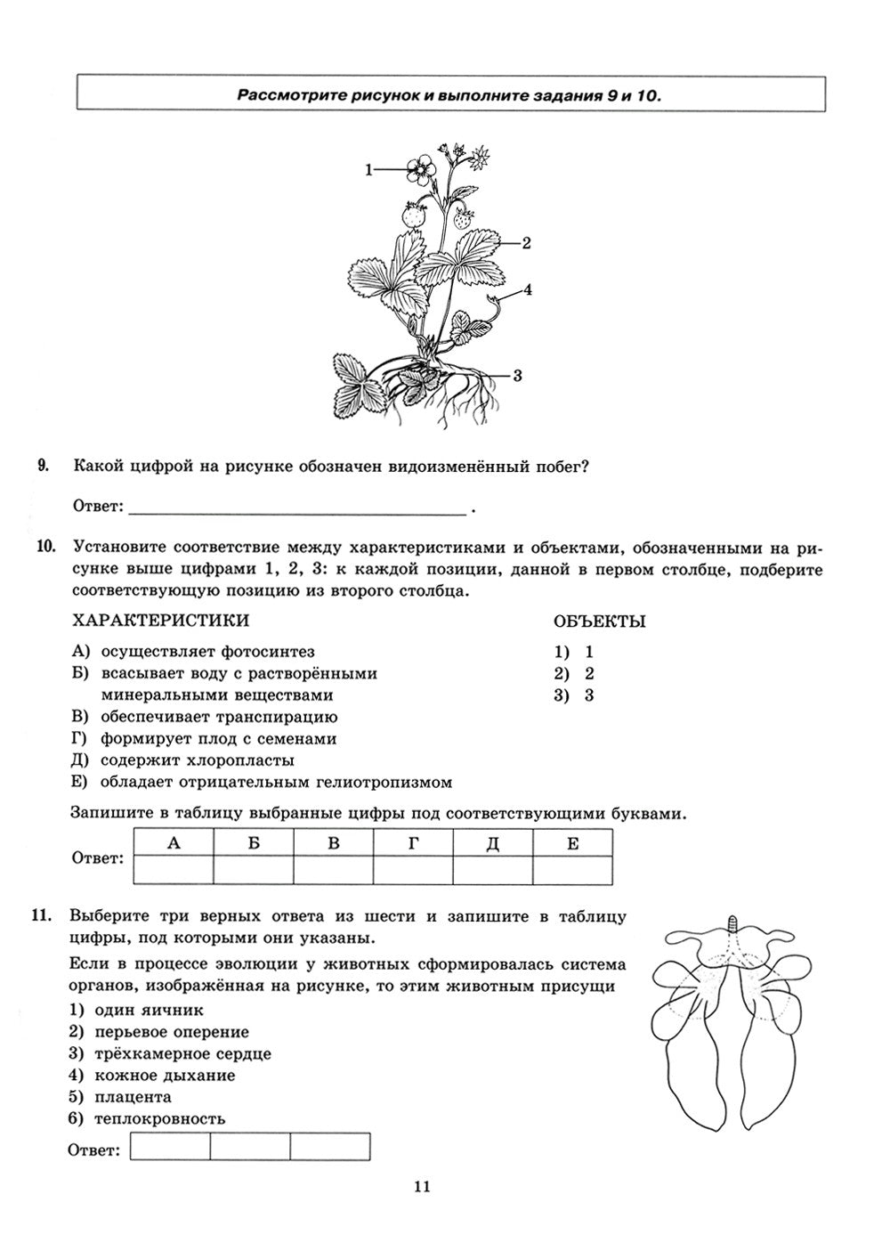 ЕГЭ 2024. Биология. 32 варианта. Типовые варианты экзаменационных заданий от ...