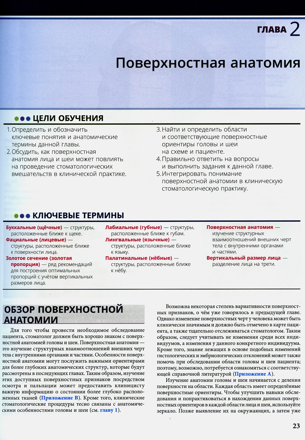 Иллюстрированная анатомия головы и шеи. 5-е изд