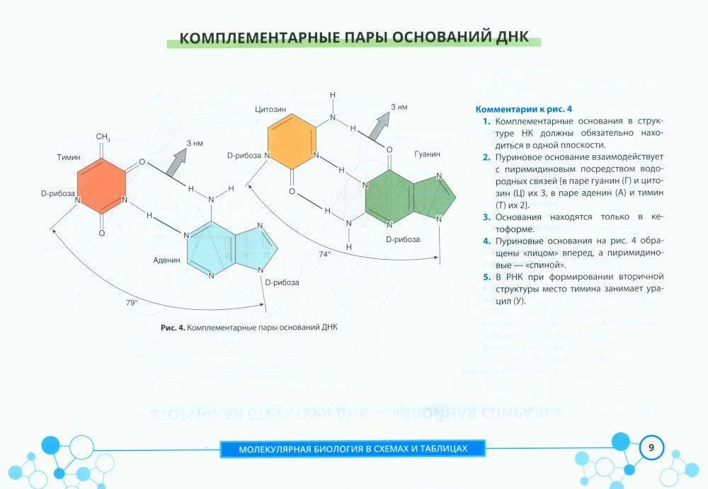 Молекулярная биология в схемах и таблицах