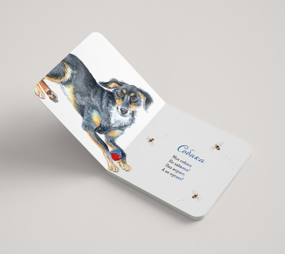 Где твой друг?