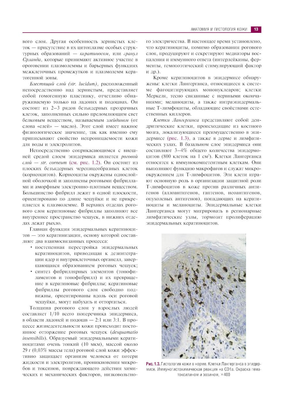 Клиническая дерматология. Иллюстрированное руководство для врачей. 2-е изд., ...
