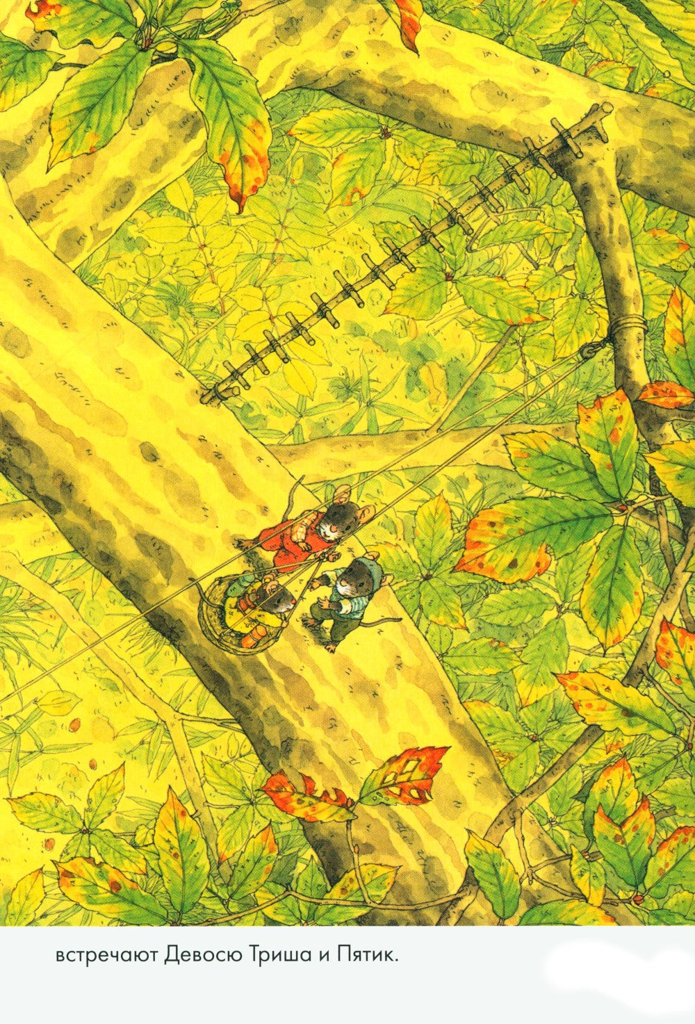 14 лесных мышей. Комплект суточный (комплект из 4-х книг)