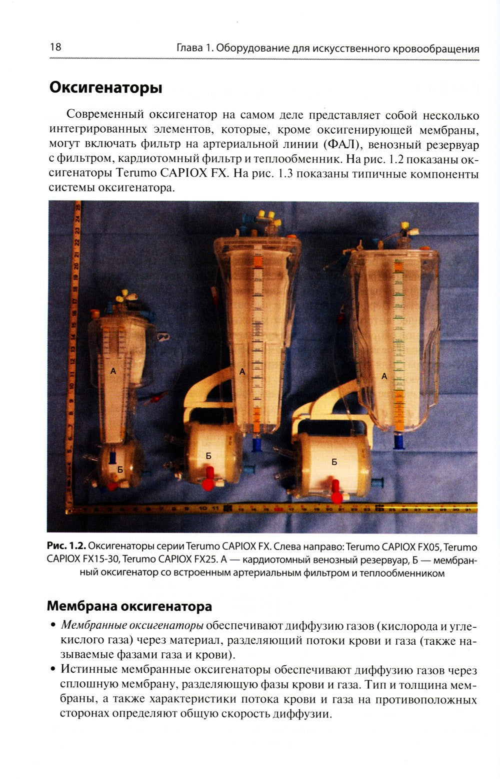Перфузия в хирургии врожденных пороков сердца. Заметки по искусственному кров...