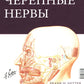 Черепные нервы. 2-е изд