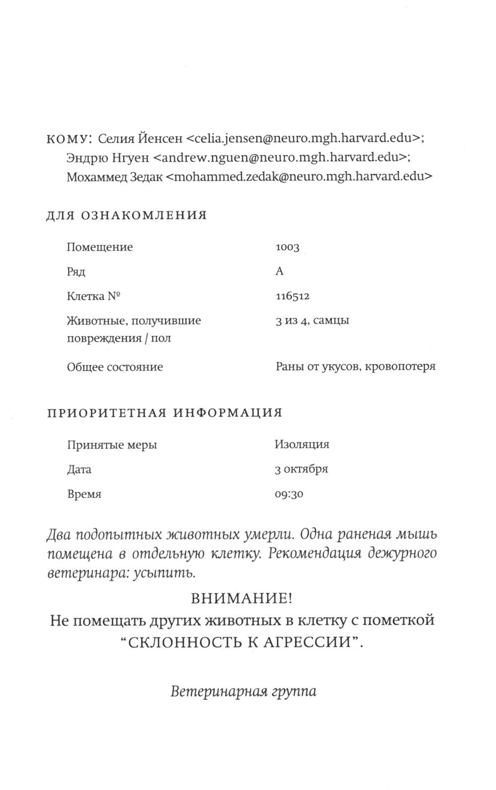 Фаза 3: роман