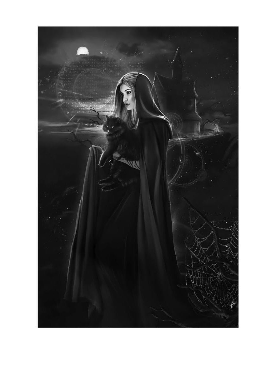 Край черных магнолий