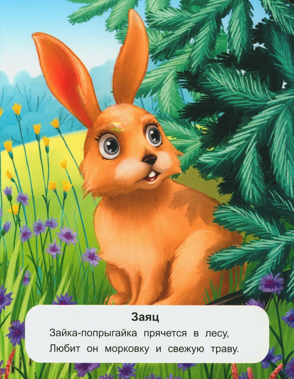 Лесные животные: стихи