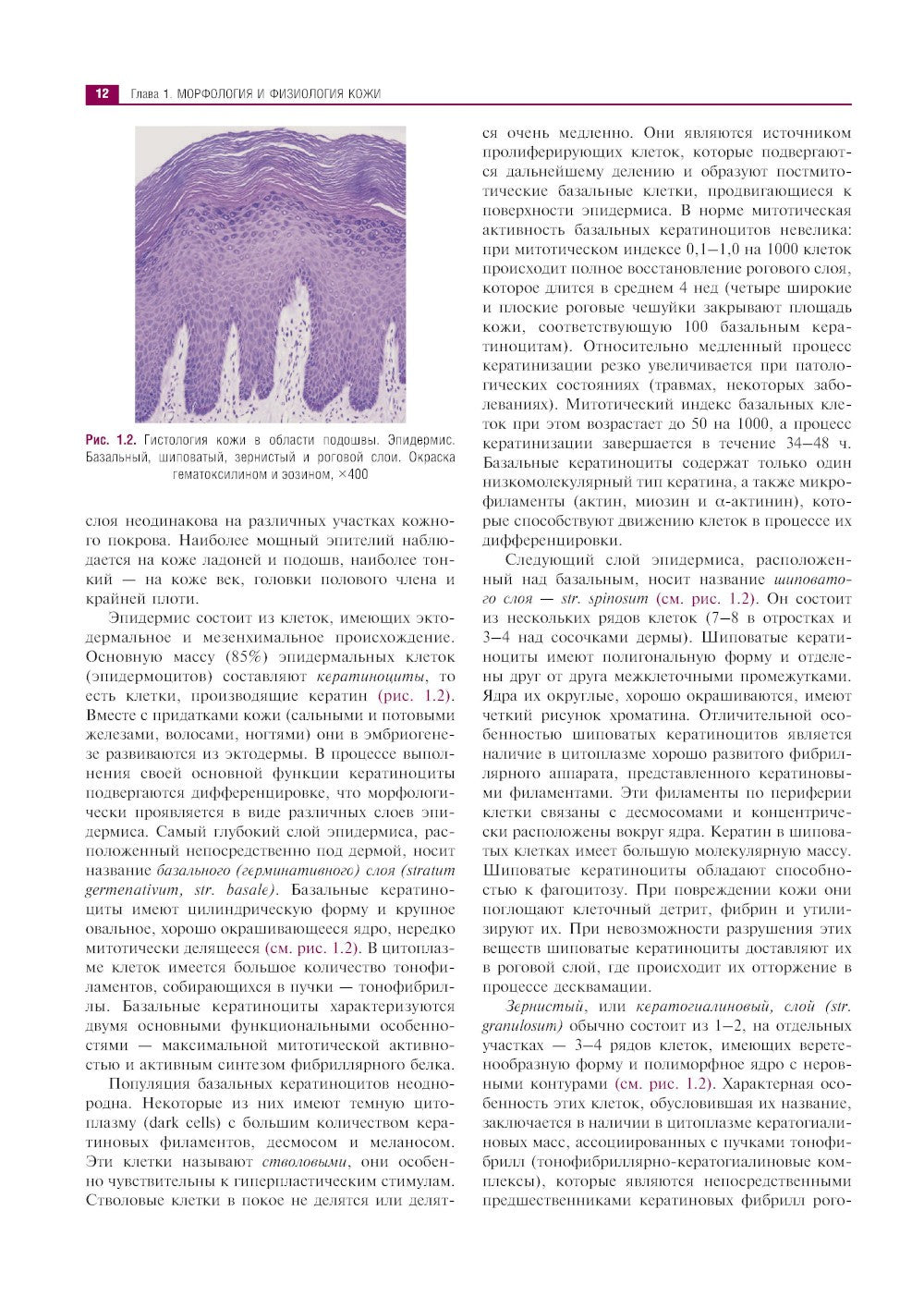 Клиническая дерматология. Иллюстрированное руководство для врачей. 2-е изд., ...