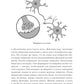 Странная девочка, которая влюбилась в мозг: Как знание нейробиологии помогает...