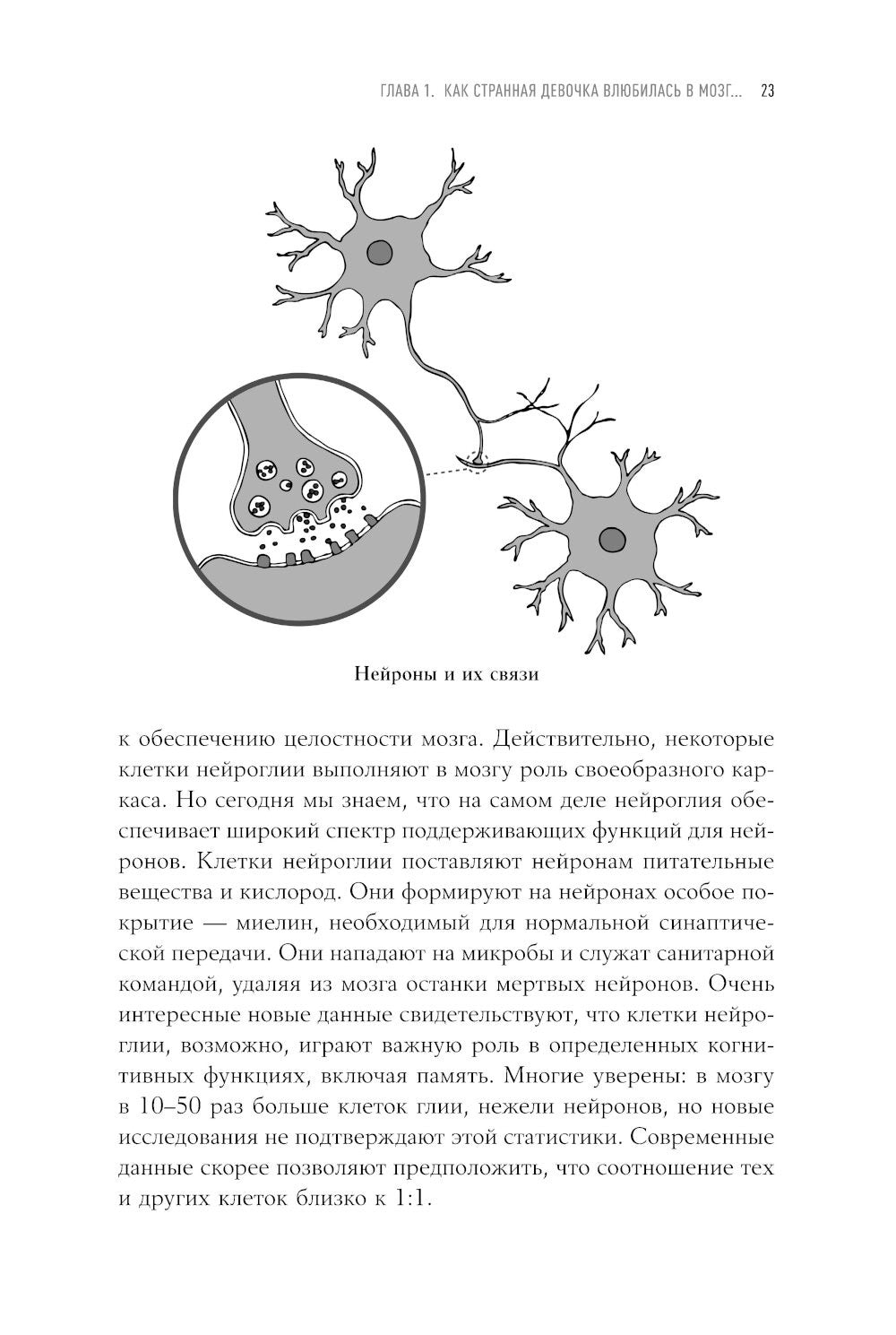 Странная девочка, которая влюбилась в мозг: Как знание нейробиологии помогает...