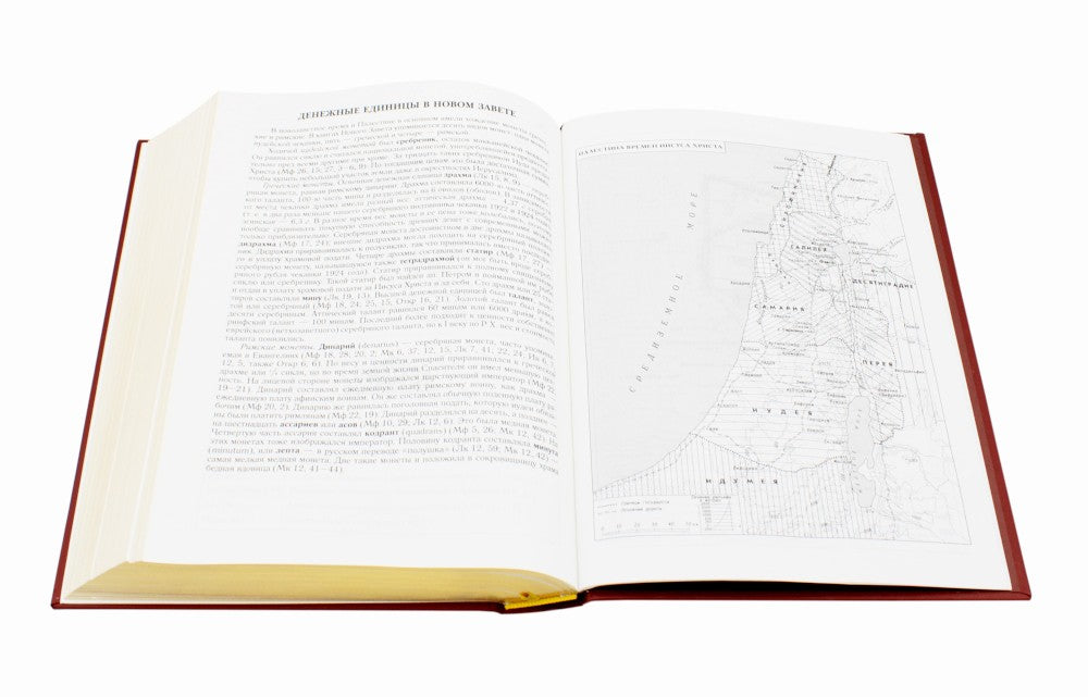 Библия. Книги Священного Писания Ветхого и Нового Завета (золотой обрез)