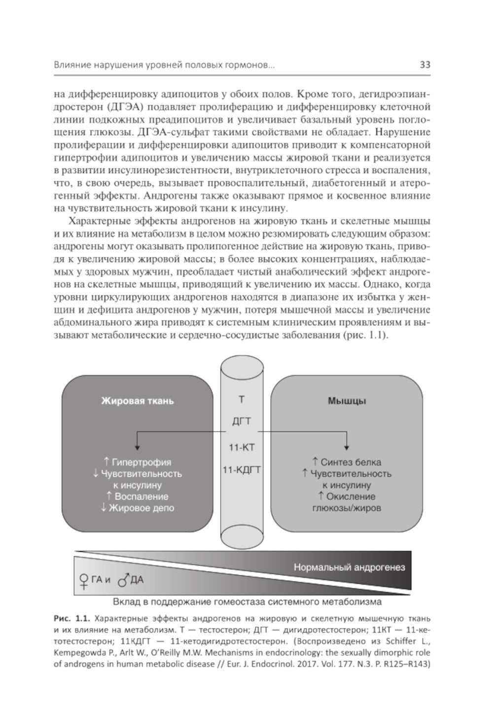 Эндокринология и системные заболевания