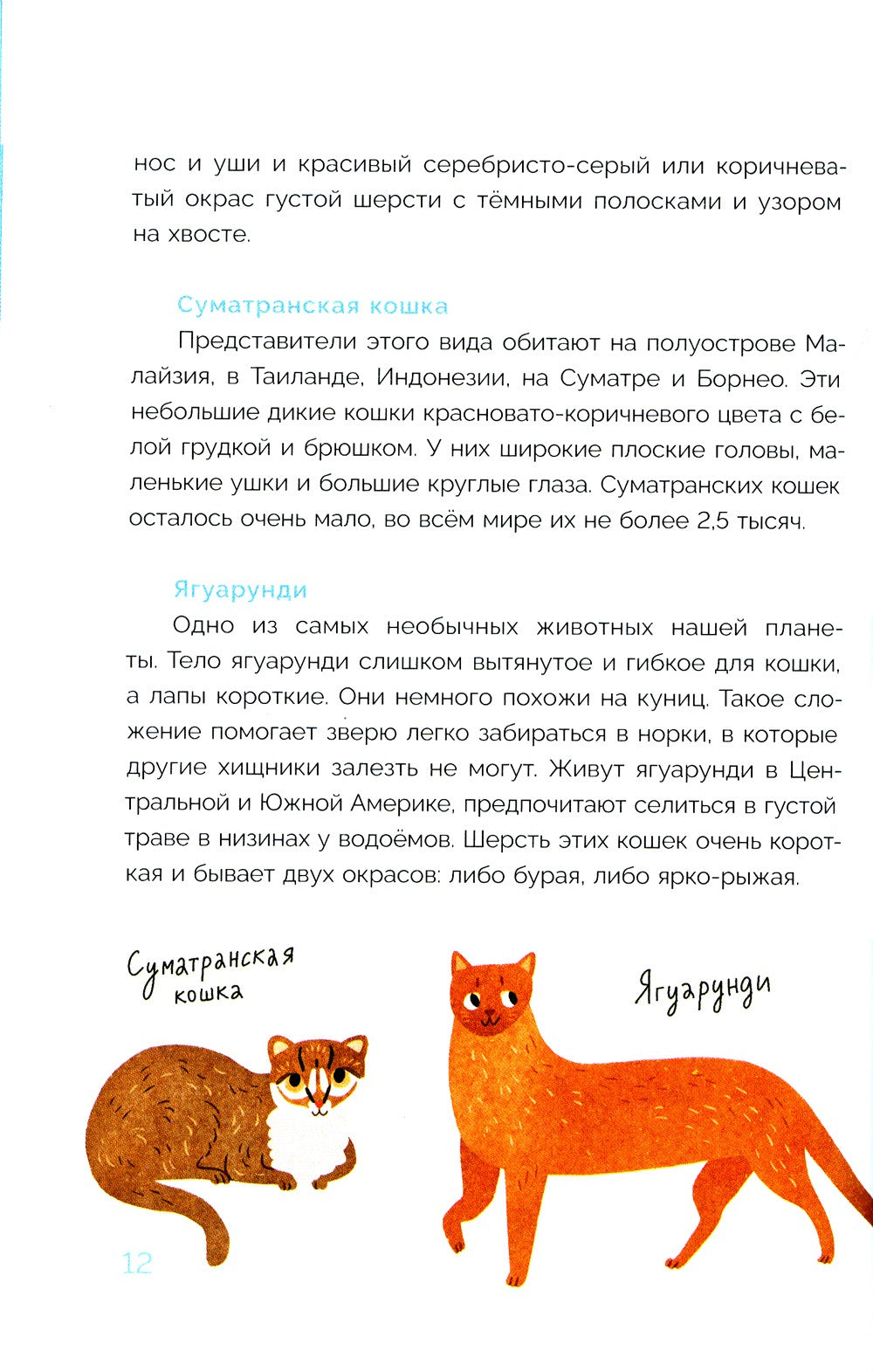 Хочу котенка! Полное пособие по уходу за питомцем