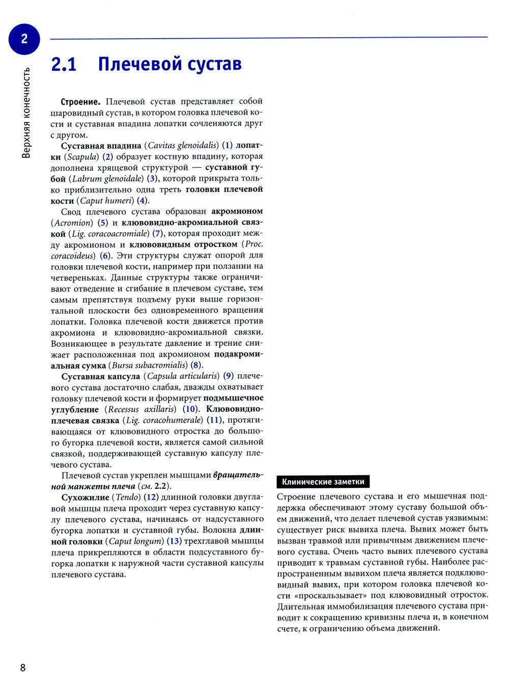 Sobotta. Рабочая тетрадь по анатомии человека