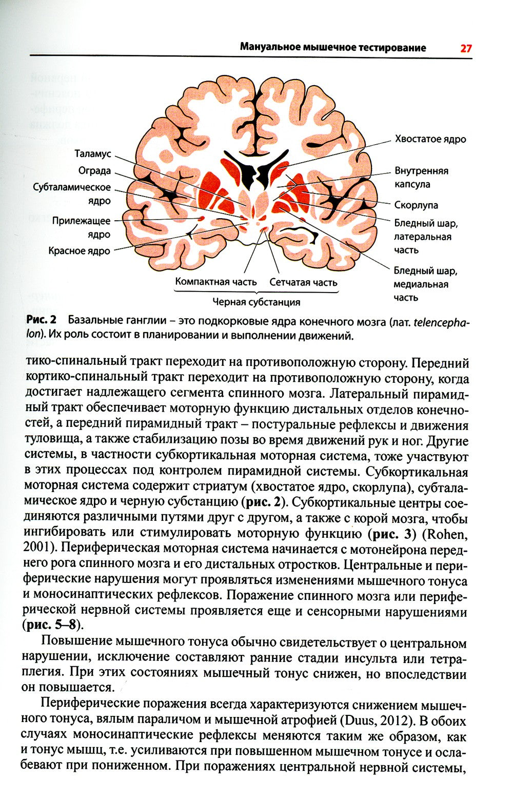 Визуальное руководство по функциональному мышечному тестированию. 3-е изд