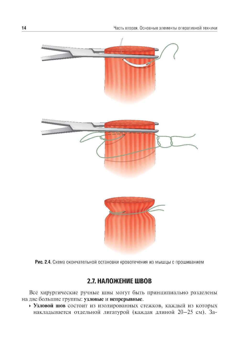 Топографическая анатомия и оперативная хирургия. Руководство к практическим з...