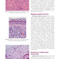 Клиническая дерматология. Иллюстрированное руководство для врачей. 2-е изд., ...