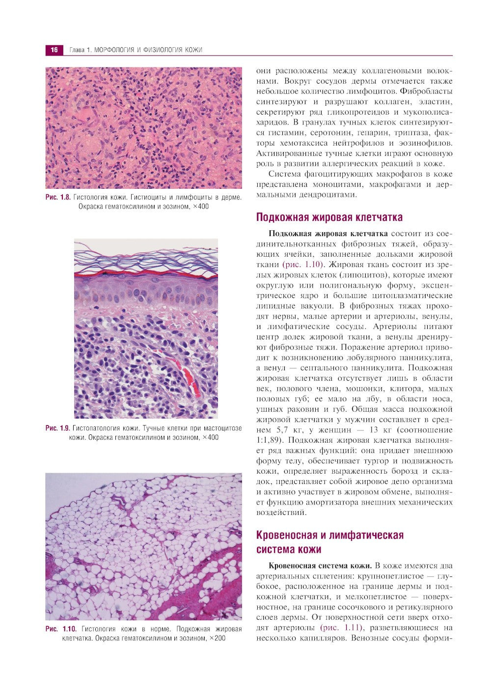 Клиническая дерматология. Иллюстрированное руководство для врачей. 2-е изд., ...
