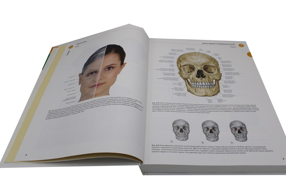 Sobotta. Атлас анатомии человека. В 3 т. Т. 3: Голова, шея и нейроанатомия. 2...