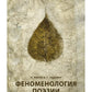 Феноменология поэзии. Ч. 3