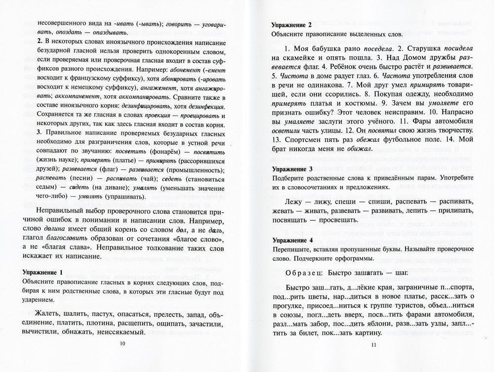 Русский язык. Орфография. Пунктуация. 23-е изд