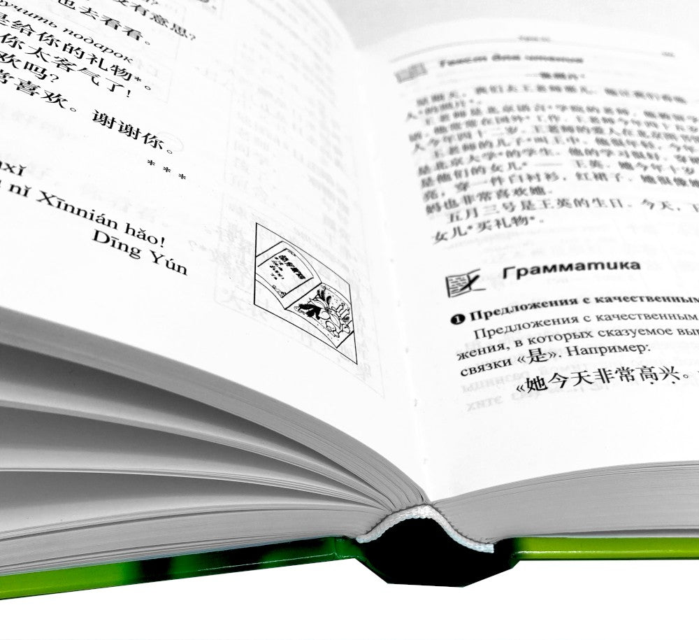 Практический курс китайского языка. В 2 т. 12-е изд., испр. (аудиоматериалы н...