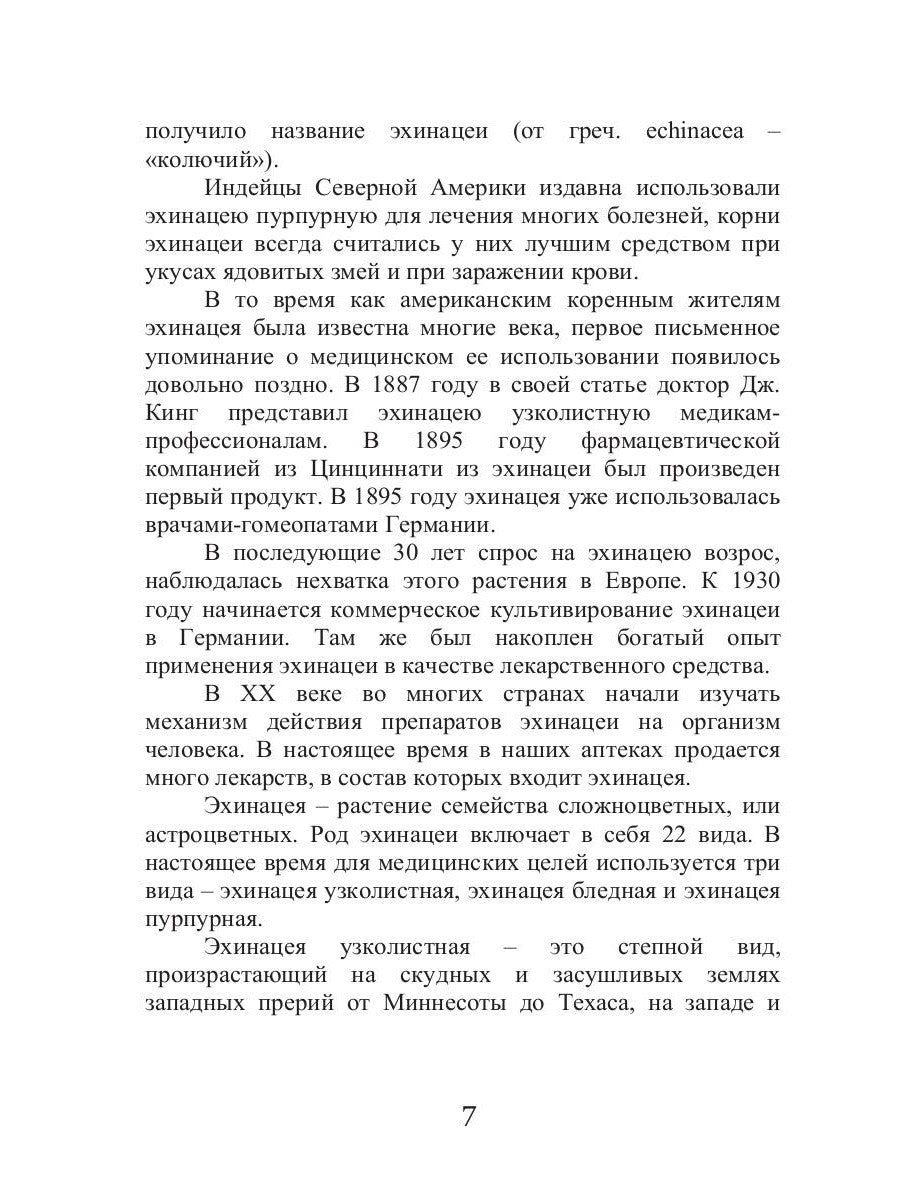 Эхинацея - ваша панацея