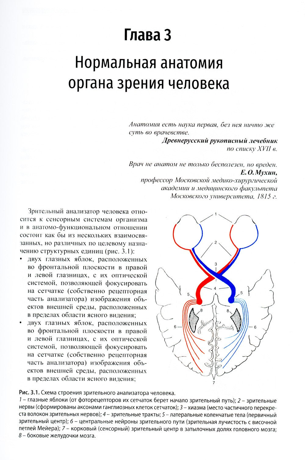 Клиническая офтальмология. 5-е изд., перераб. и доп. (пер.)