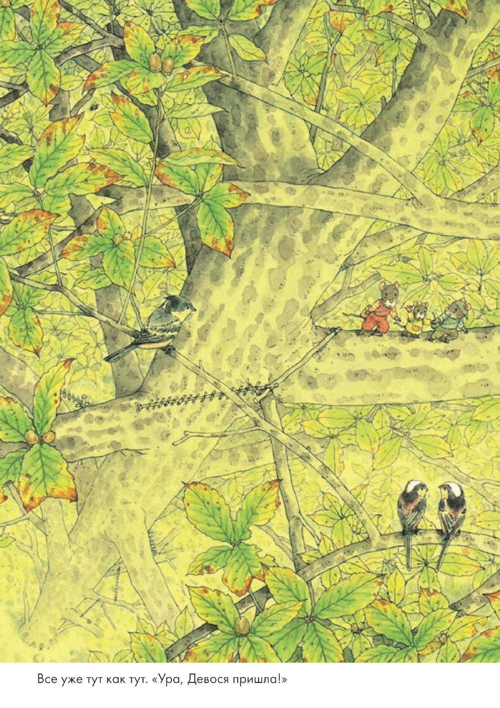 14 лесных мышей. Ужин с луной