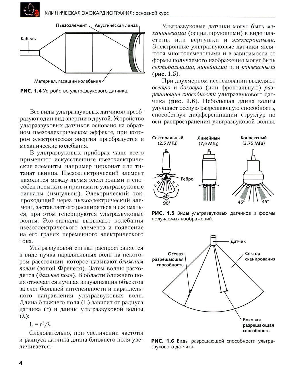 Клиническая эхокардиография: основной курс