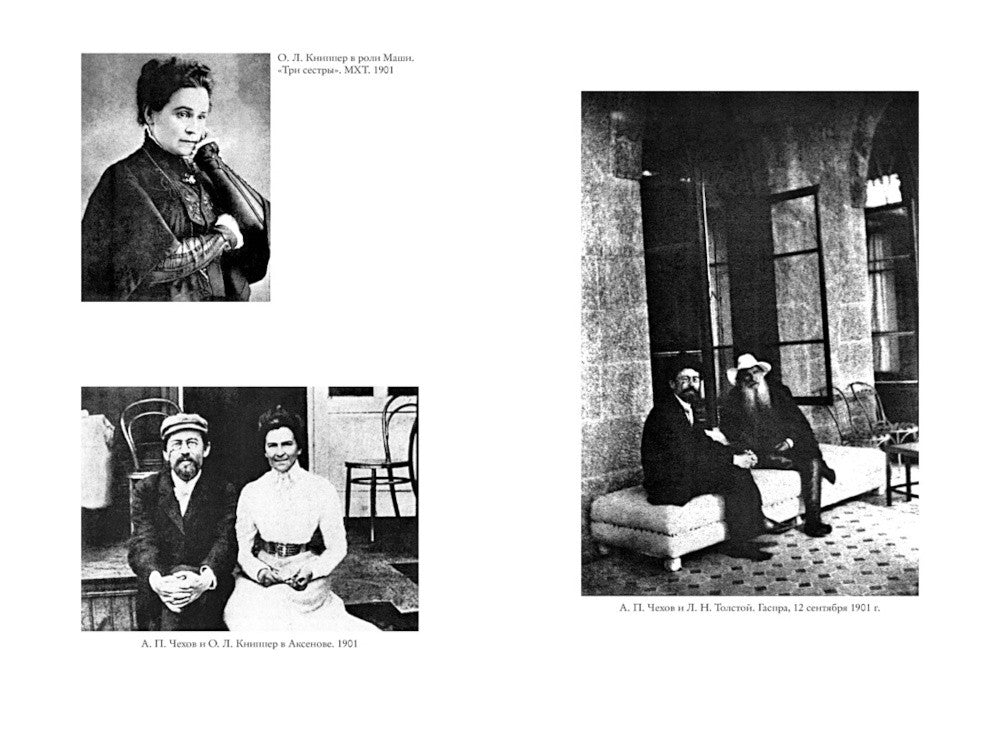 Жизнь Антона Чехова. 3-е изд., доп